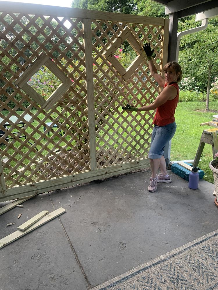 Custom Lattice Privacy Screen
